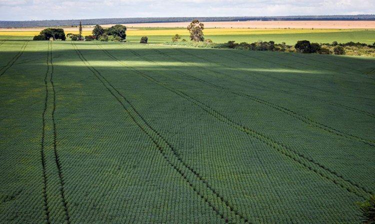 Estudo aponta desafios do seguro rural em meio a mudanças climáticas