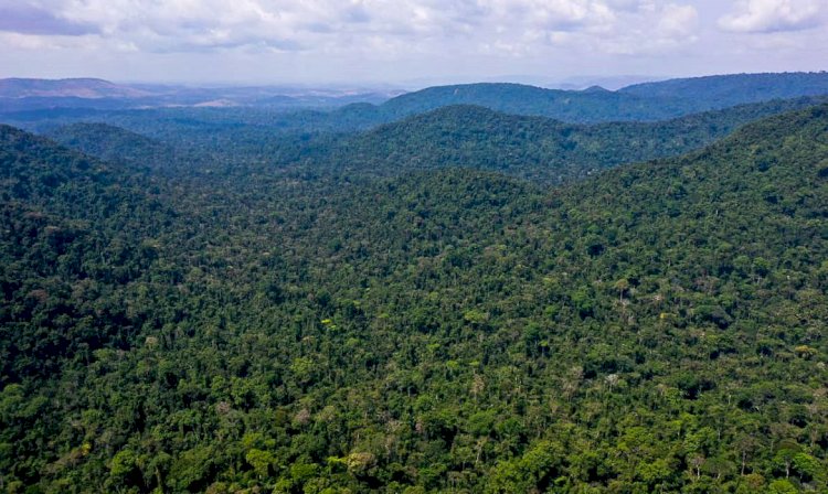 EUA anunciam US$ 500 milhões para Fundo Amazônia em cinco anos