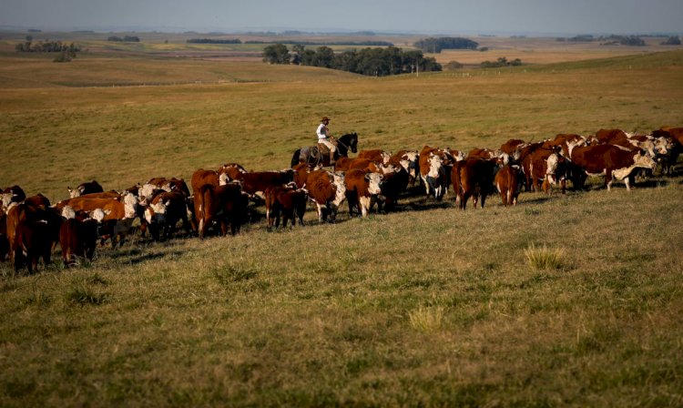 Produto Interno Bruto cresce 2,5% em fevereiro