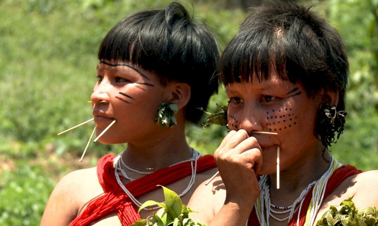 Mais da metade dos yanomami vive em risco de saúde