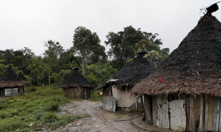 Representantes da corte interamericana visitarão TI Yanomami