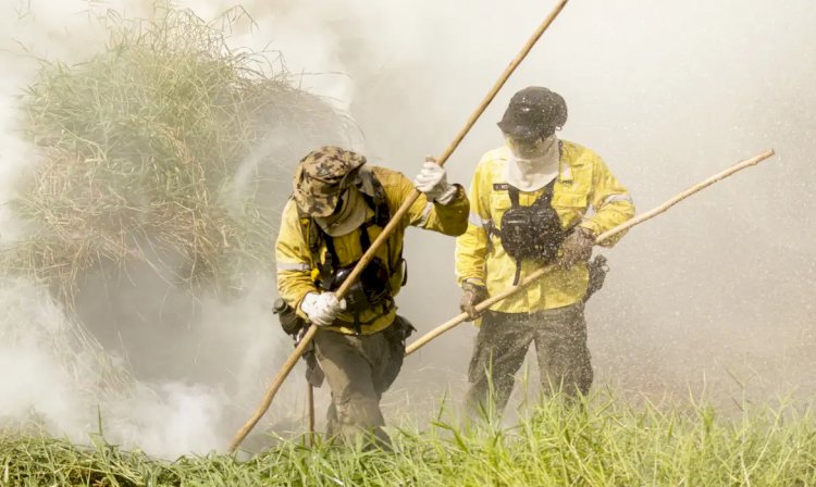 Brigadistas intensificam trabalho de combate a incêndios no Pantanal