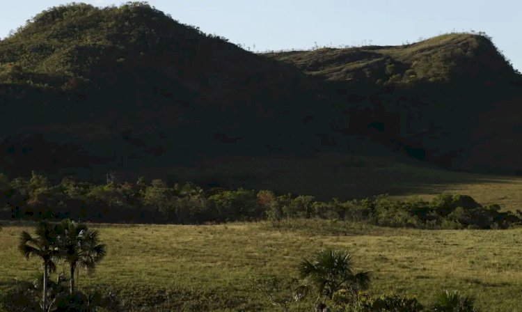 Territórios quilombolas são as áreas menos desmatadas do país