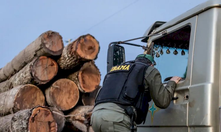 Servidores do Ibama prometem suspender fiscalização ambiental