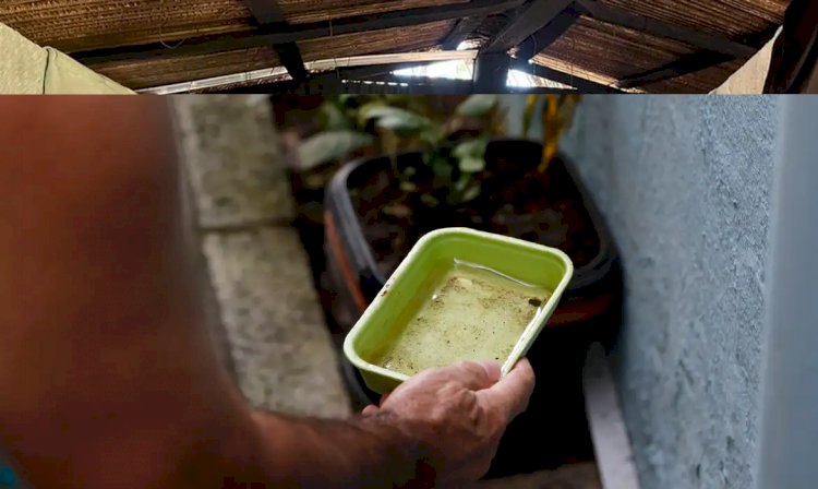 Vacina da dengue agrega outras estratégias de combate, diz ministério