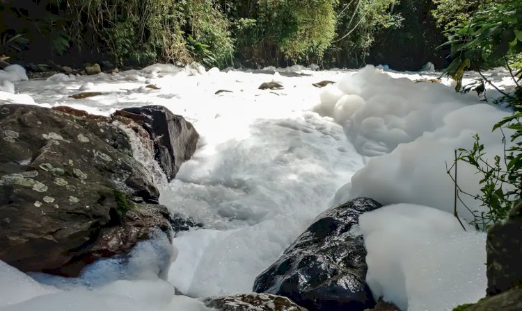 Joinville decreta emergência após vazamento de ácido sulfônico