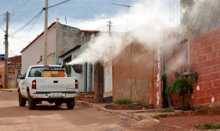 Ivermectina não é eficaz contra dengue, alerta Ministério da Saúde