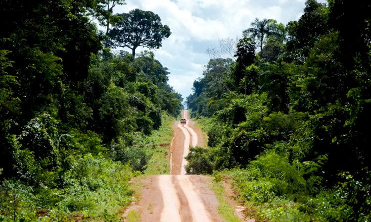 Amazônia: degradação afeta área três vezes maior que desmatamento