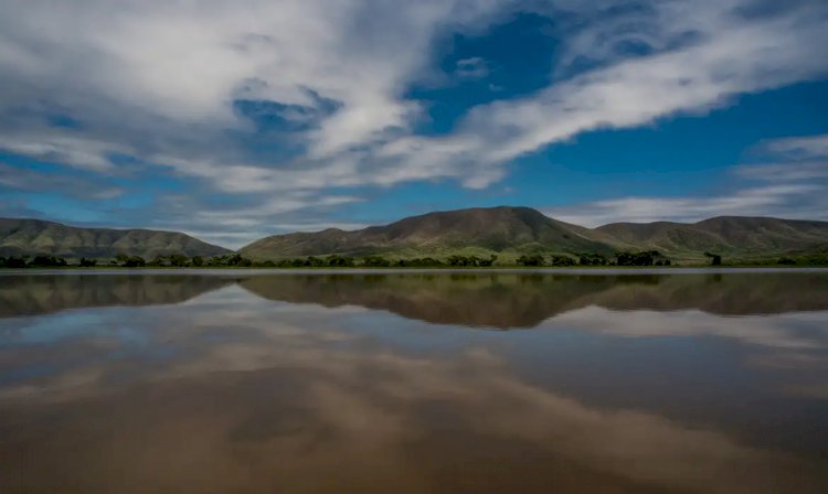 Estados se unem para enfrentar desmatamento no Pantanal