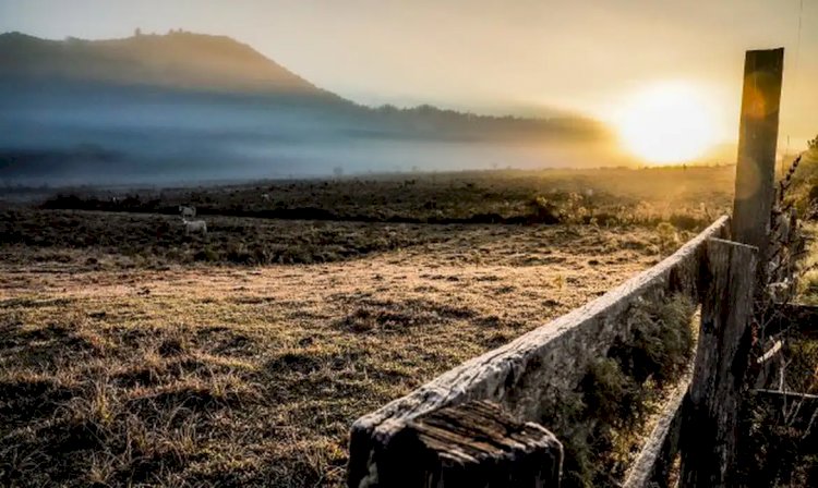 Cidades do Sul registram temperaturas negativas neste domingo